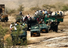 Ranthambore Safari Booking | Book Jeep & Canter Safari