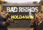Bad Rhinos Slots: Traps Worth Avoiding