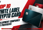 Top 10 White Label Crypto Card Development Companies and Providers