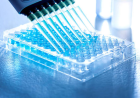 ELISA Assays for Disease Biomarker Detection in Clinical Research