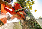 The Ultimate Local Guide to Safe, Hassle-Free Backyard Maintenance