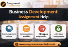 Business Development Assignment Help: How to Analyze Business Development Strategies