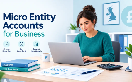 Micro Entity Accounts Checklist for Small UK Companies