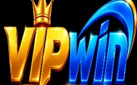 WINVIP