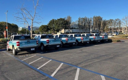 How Fleet Wraps Support Local Marketing for Growing Businesses