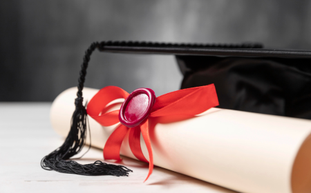 7 Reasons Why Working Professionals Love Part-Time PhD