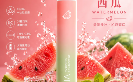 ILIA 6500電子煙的替代品分析