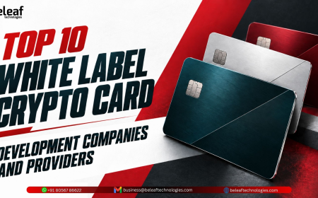 Top 10 White Label Crypto Card Development Companies and Providers
