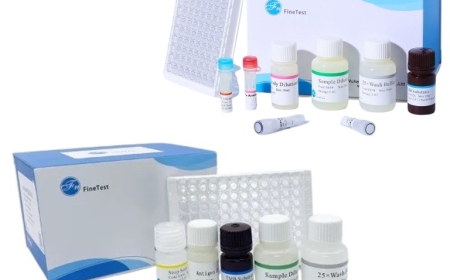 How Do ELISA Kits Improve Biological Detection and Research Accuracy?