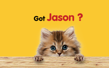 How Much Cat Litter Does Your Cat Need? | Jason Cat Litter