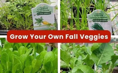 Edible Landscape Plants for Fall Gardens | Evergreen Nursery