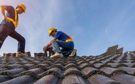 The Benefits of Hiring Professional Roofers for Your Project