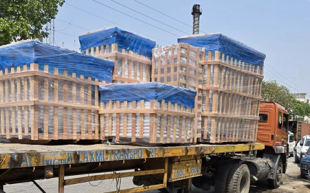 Choosing the Right Wooden Packaging for Industrial Transport: Pallets, Crates and Plywood Boxes