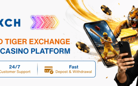 How to Check Tigerexch Website: Guide for Users in India