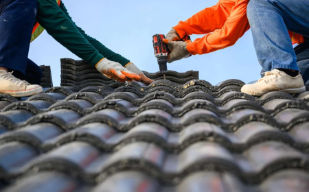 7 Signs You Need to Call Roofing Contractors in Wellesley Immediately