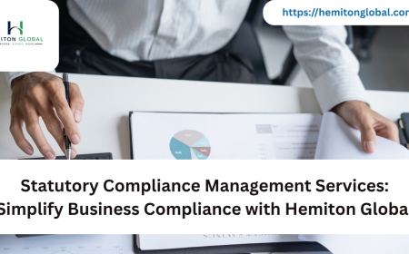 Statutory Compliance Management Services: Simplify Business Compliance with Hemiton Global