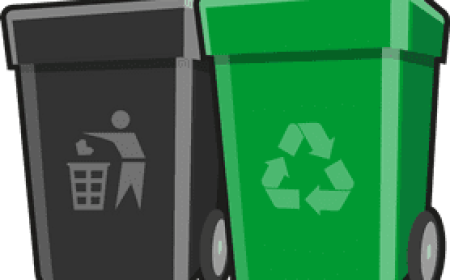 Keep Your Home Fresh With Professional Trash Bin Cleaning