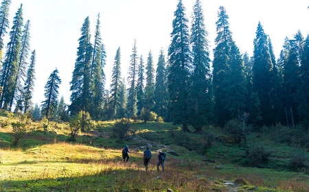 Kedarkantha Trekking: I Understood the Hype After Going There