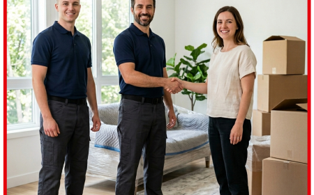 Which are the best movers and packers in London?