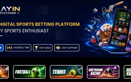 PlayinExch247 India: How To Judge An Online Betting Website