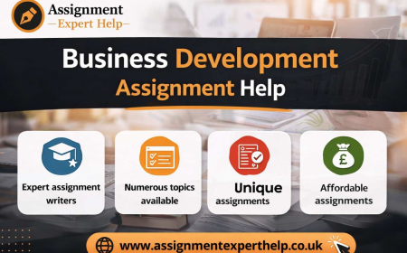 Business Development Assignment Help: How to Analyze Business Development Strategies