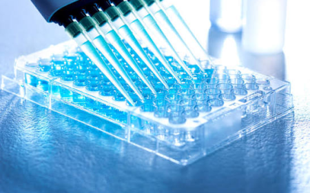 ELISA Assays for Disease Biomarker Detection in Clinical Research