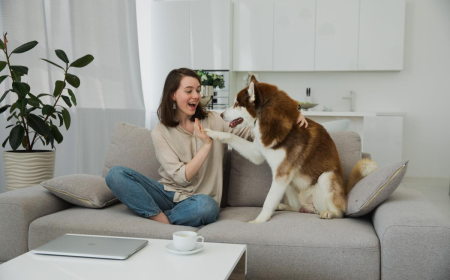 How to Choose a Dog Sitter in Denver When Your Dog Has a Very Specific Routine