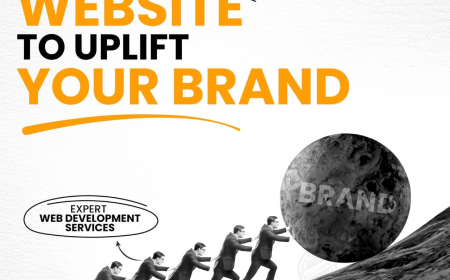 Why Choose Solutions1313 as Your Web Development Company in Chandigarh?