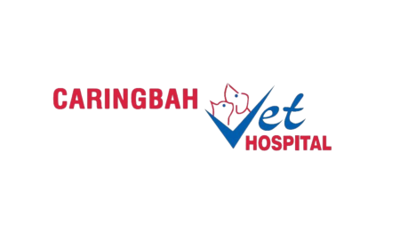 Vets Sutherland Shire: Complete Guide to Quality Veterinary Care for Your Pet