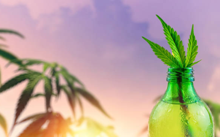 CBD Beverage vs. CBD Edible: How the Product Format Changes the Experience