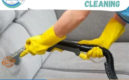 Honor Carpet Cleaning Professional Upholstery Care for Dust and Dirt on Home Furniture in Jacksonville FL
