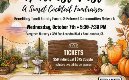Harvest Fest: A Sunset Fundraiser at Our Plant Nursery