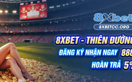 8XBET – Discover the Online Sports and Entertainment Experience