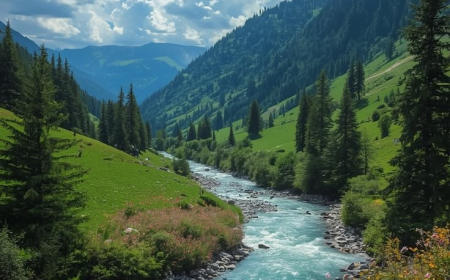 The Benefits of Spending Time in Nature