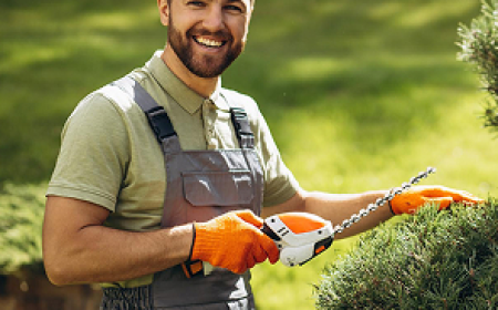 Fencing and Landscaping Services for Modern Properties