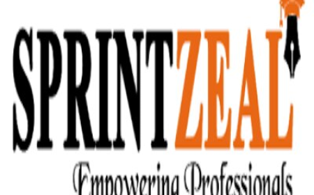 Career Path for Project Coordinator: Roles, Skills, Salary & Growth