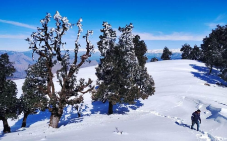 Uttarakhand in january