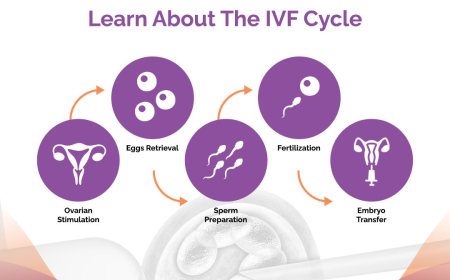 ICSI Treatment in Pakistan | A Real Path Forward for Couples Facing Infertility