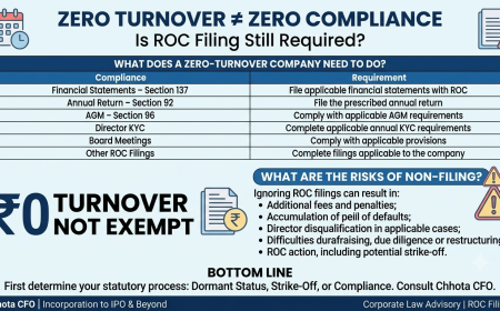 Zero Turnover Company: Is ROC Filing Still Required?