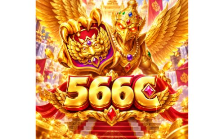 566c