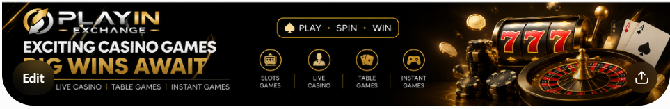 Playinexch247 VIP and the Account Benefits Users May Encounter