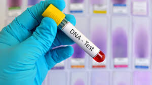How Long Can DNA Remain in the Female Body After Intimacy?