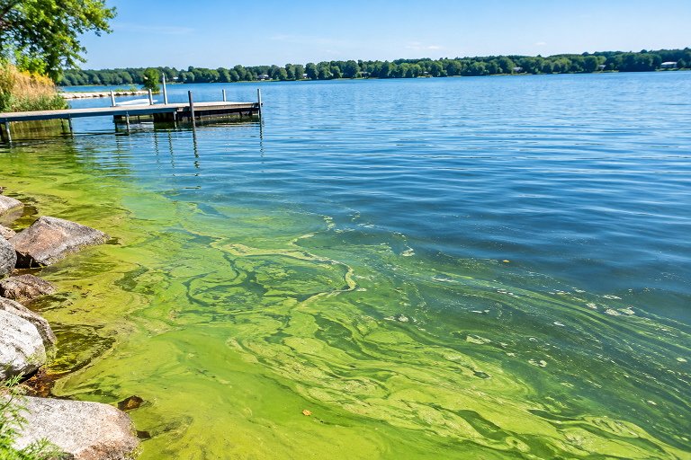 Ultrasonic Scale Removal: A Smarter Way to Manage Hard Water Deposits