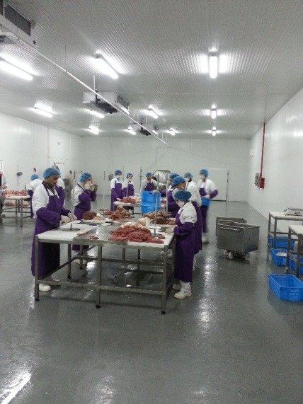 Professional Shawarma Factory Setup & Production Consulting Services