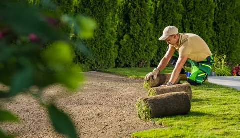 Soil Landscaping Services in Woodstock, GA: A Complete Guide to Healthier Soil and Better Landscapes
