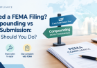 LSF vs FEMA Compounding: What Should You Do? | Chhota CFO