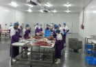 Professional Shawarma Factory Setup & Production Consulting Services
