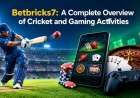Betbricks7: A Complete Overview of Cricket and Gaming Activities