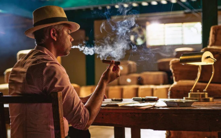 How to Choose the Right Premium Cigar When Shopping Online