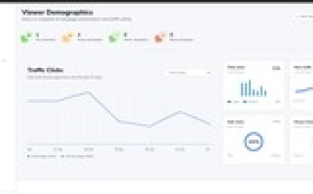 How Ads Cloaker Helps Identify Suspicious Ad Traffic